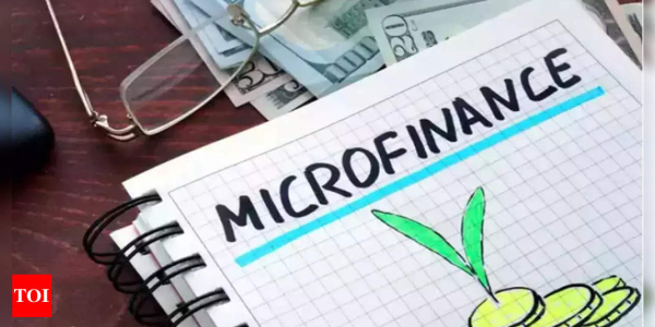 Indian micro finance sector soared 2,100% in past 12 years – The Times of India